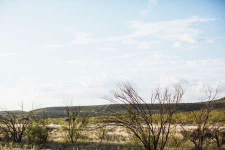 dry country lanscade in Texas, Americaの写真素材