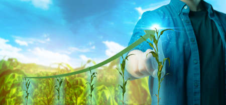 Futuristic technology trend concept of smart farm, agriculture. Farmer use artificial intelligence to increase growth rate of crop yield, monitor crop health condition and harvesting improve qualityの写真素材