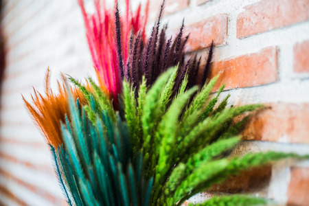 colorful flowers on red brick backgroundの写真素材