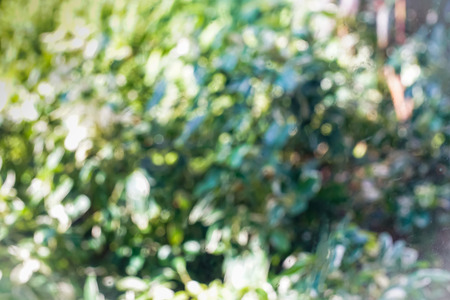 Blur Green and blue summer bokeh for backgroundの写真素材