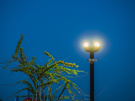 CCTV Camera on pole with under the lampsの写真素材
