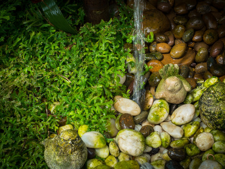 Waterfall on stone and green grass in the gardenの写真素材