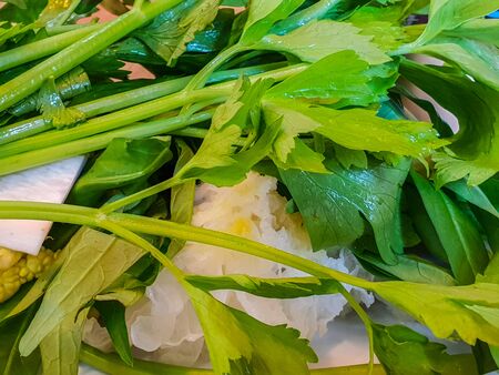 Close up Focus Celery in the plateの写真素材