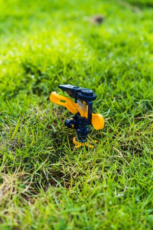 sprinkler head watering the bush and green grass in the gardenの写真素材