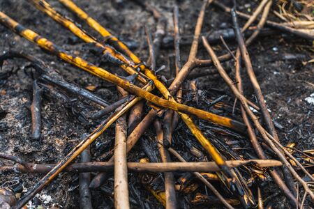 Black charred coal of scanting of an extinct fireの写真素材