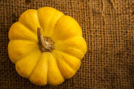 The Yellow Fresh pumpkin on sack with space for put the textの写真素材
