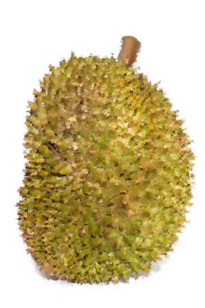 The Abstract Triangles of Durian fruit for background use, Illustrationの写真素材