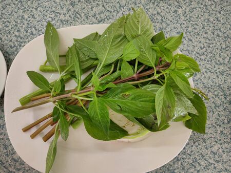 The sweet basil leaves as nice natural food background on diskの写真素材