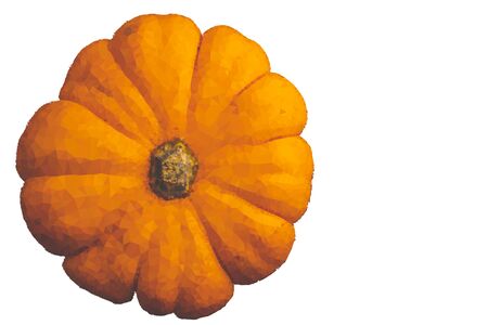 Abstract Triangles line A Single fresh orange miniature pumpkin isolated on white backgroundの写真素材