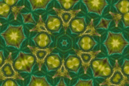 The Abstract reflection of green leave and yellow flower for background useの写真素材
