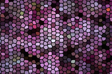 Abstract geometric pattern of The beautiful leave plant on the floor for background useの写真素材