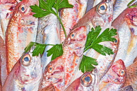 Red mullet and mediterranean fish