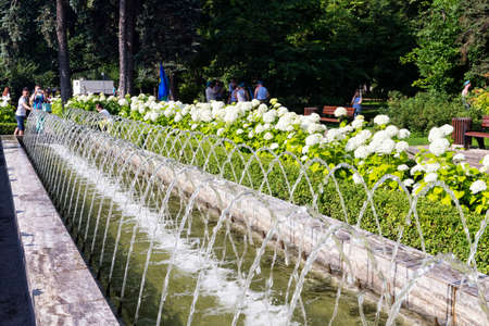 Moscow, Russian Federation - August 2, 2017: Sokolniki Park with people, tourists and Mariners of the Navyのeditorial素材