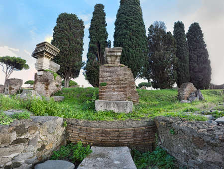 Panorama in the archaeological excavations of Ostia Antica with the Forum of the heroic statue and in the background huge cypresses between ruins and spontaneous vegetationのeditorial素材