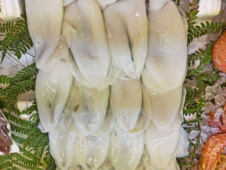 Group of fresh and healthy raw squids exposed in fish market useful for fish recipesの写真素材