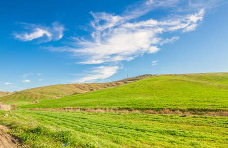 A green field and blue sky の写真素材