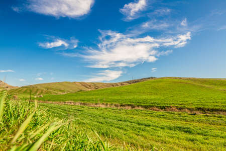 green field and blue sky