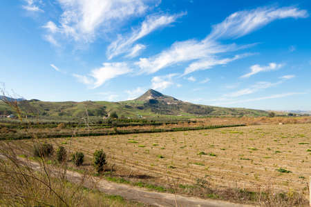 green field and blue skyの写真素材