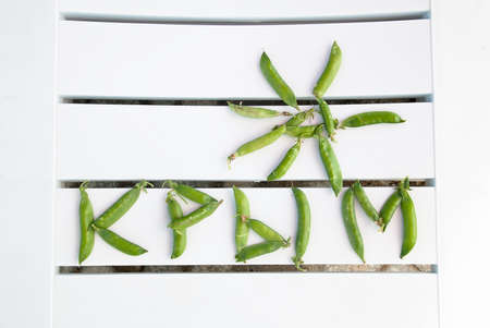 A word    1050;  1088;  1099;  1084;   Crimea  made of pea pods on the beach chairの写真素材