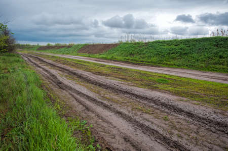 Empty rural road on rainy april day.