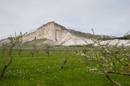 Blossom garden near Ak-Kaya 'White Rock' in Central Crimeaの写真素材