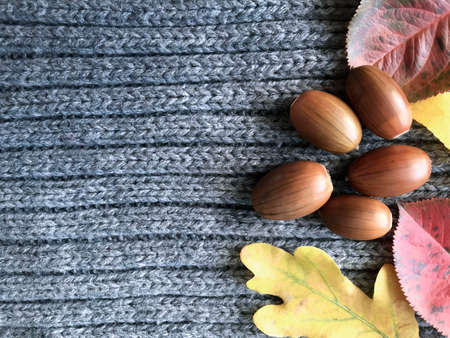Autumn yellow and red leaves and acorns on a knitted gray woolen cloth. There is a place for the text.の写真素材
