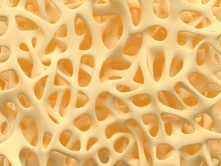 Bone spongy structure close-up, healthy texture of boneの写真素材