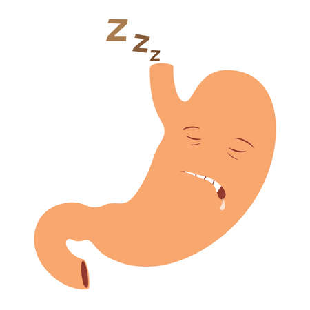 Illustration of human stomach cartoon character sleepingのイラスト素材