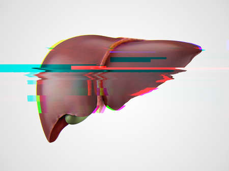Realistic 3d illustration of anatomical model of healthy human liver with glitch effect, failure conceptの写真素材