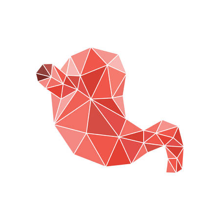 Illustration of human stomach with faceted low-poly geometry effect, vectorのイラスト素材