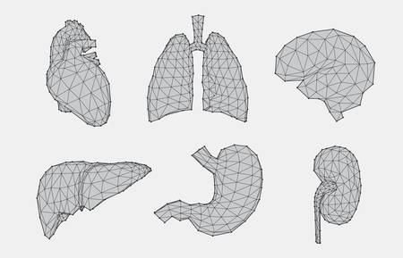 Set of geometric human anatomyのイラスト素材