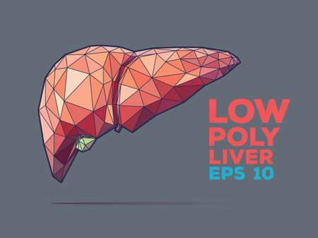 Illustration of human liver with faceted low-poly geometry effectのイラスト素材