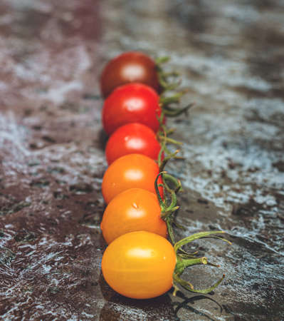 Perfect color gradation line of diverse kinds of tomatoes on the tableの写真素材