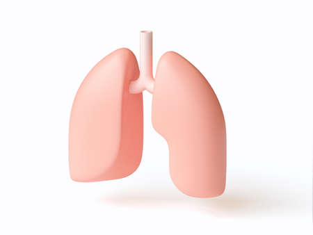 Isometric 3d illustration of stylized human lungs isolated on white. Inspired by flat design trends