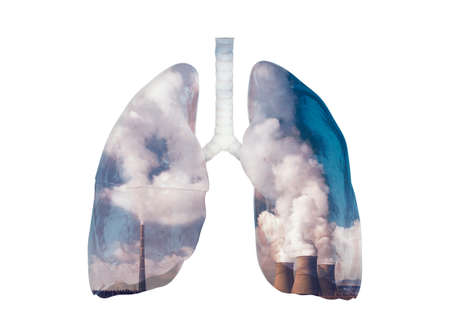 Illustration of Lungs and environment pollution with with smoked pipes. Dirty lungs conceptの写真素材