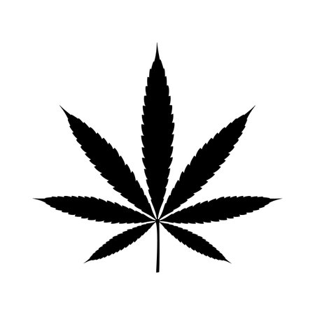 Silhouette of marijuana leaf. Vector illustration of cannabis plant leafのイラスト素材