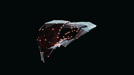 3d render of a vibrant, low-poly liver over dark background. Liver wireframe made of light points. 3d illustrationの写真素材