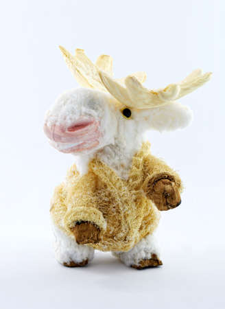 Reindeer isolated on white backgroundの写真素材