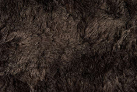 Close-up of brown fur