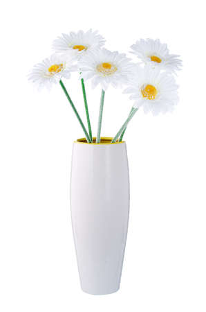 Daisies in a vaseの写真素材