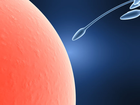 sperms