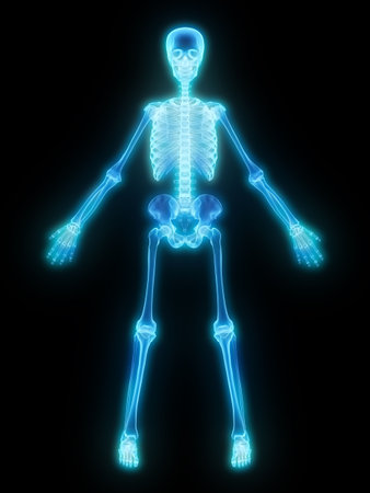 glowing skeleton