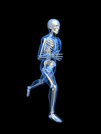 running man anatomyの写真素材