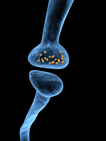 receptor