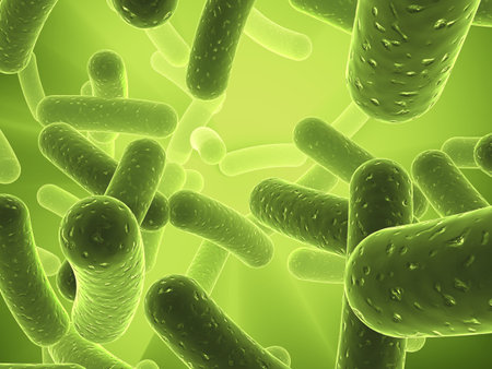 bacteria