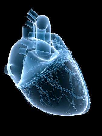 x-ray の写真素材