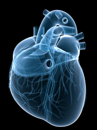 x-ray heart x-ray heart