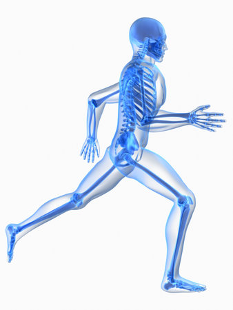 transparent running skeletonの写真素材