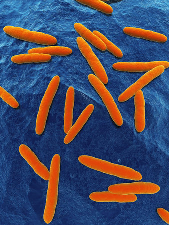 close up of some isolated acetobacter bacteriaの写真素材