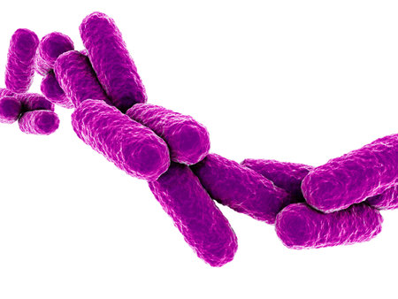 close up of some isolated rod shaped bacteriaの写真素材